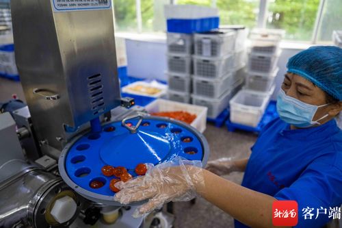 原創組圖丨中秋將至 ?？谶@個食品廠開足馬力生產月餅