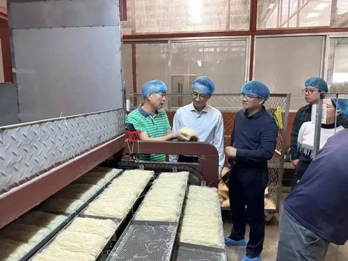 時(shí)隔20年, 燕子 牌排粉正式回歸 江門外海 似曾相識(shí) 燕 歸來(lái)